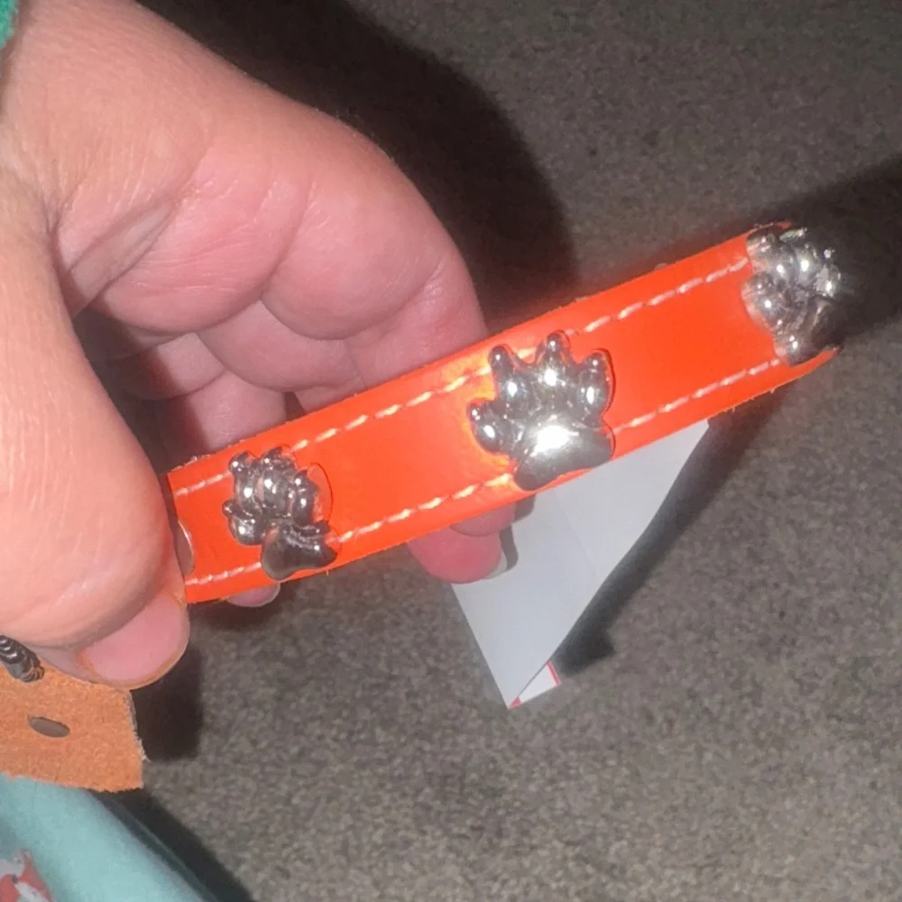 New Orange Dog Collar with Paw Charms leather size 10 inches